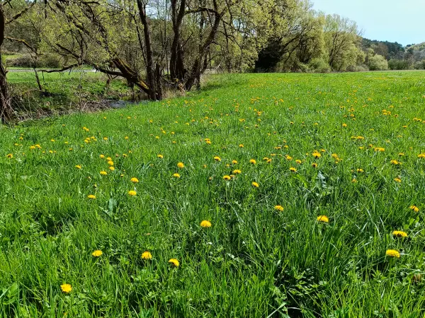 202604270-07 - Urft bei Nettersheim, Eifel, Nordrhein-Westfalen, Deutschland