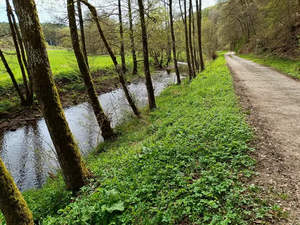 202604270-08 - Urft bei Nettersheim, Eifel, Nordrhein-Westfalen, Deutschland