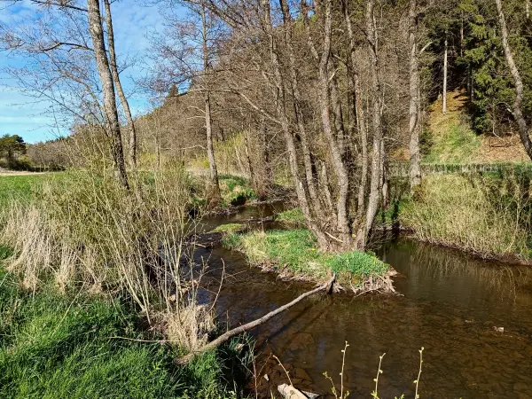202604270-35 - Urft bei Nettersheim, Eifel, Nordrhein-Westfalen, Deutschland