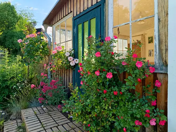 202606090-34 - Veranda mit Rosen in Carwitz, Mecklenburgische Seenplatte, Mecklenburg-Vorpommern, Deutschland