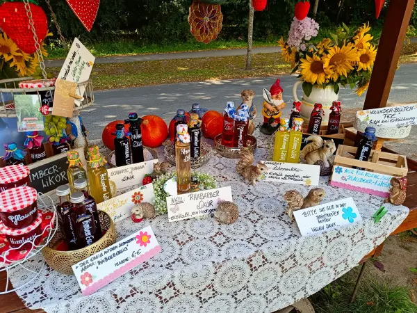 202508200-01 - Verkaufsstand in Waren, Mecklenburgische Seenplatte, Mecklenburg-Vorpommern, Deutschland