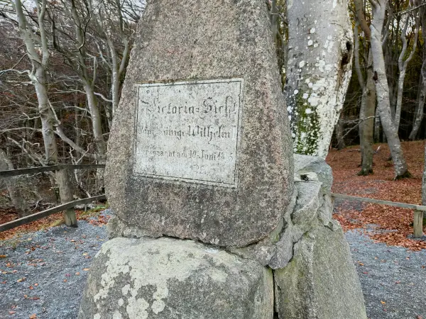 202311070-49 - Victoria-Sicht im Nationalpark Jasmund, Rügen, Mecklenburg-Vorpommern, Deutschland