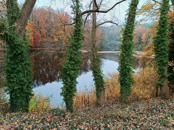 202511080-08 - Voigtscher Park in Deetz, Havelland, Brandenburg, Deutschland