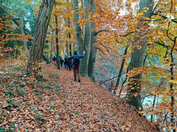 202511080-09 - Voigtscher Park in Deetz, Havelland, Brandenburg, Deutschland