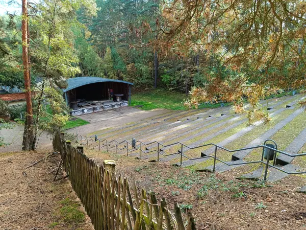 202610140-07 - Waldbühne bei Gehren, Lausitz, Brandenburg, Deutschland