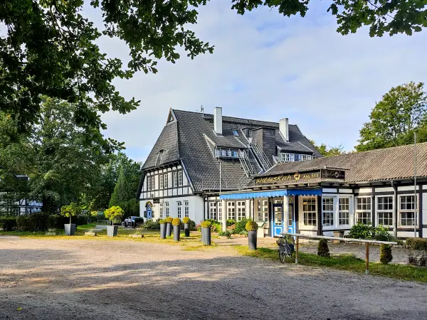 202309230-01 - Waldesruh am Mühlenteich bei Aumühle, Herzogtum Lauenburg und Stormarn, Schleswig-Holstein, Deutschland