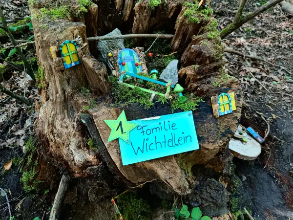 202604230-01 - Waldwichtel im Düsseltal, Bergisches Land, Nordrhein-Westfalen, Deutschland