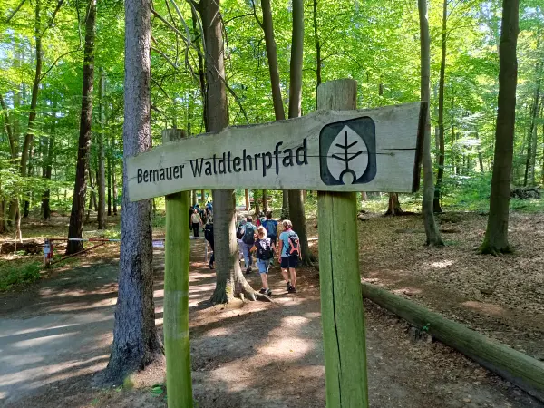 202608150-12 - Wanderer am Bernauer Waldlehrpfad bei Wandlitz, Barnimer Land, Brandenburg, Deutschland