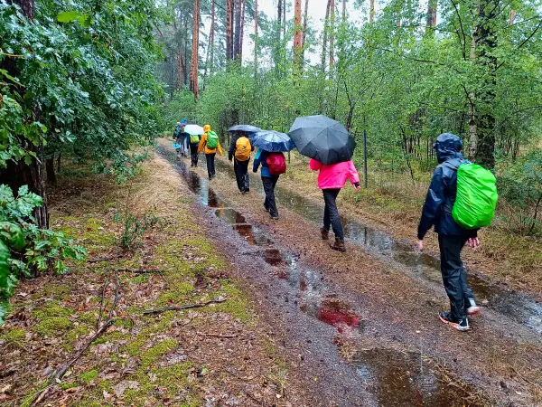 202507120-16 - Wanderer auf einem Waldweg bei Märkisch Buchholz, Dahme-Seenland, Brandenburg, Deutschland