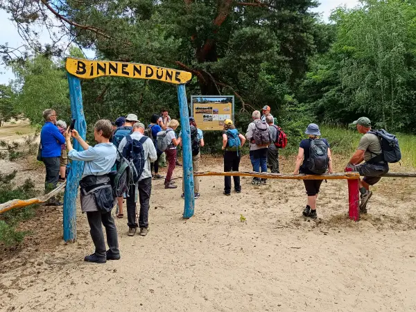 202607040-10 - Wandergruppe an der Binnendüne Waltersberge bei Storkow, Seenland Oder-Spree, Brandenburg, Deutschland