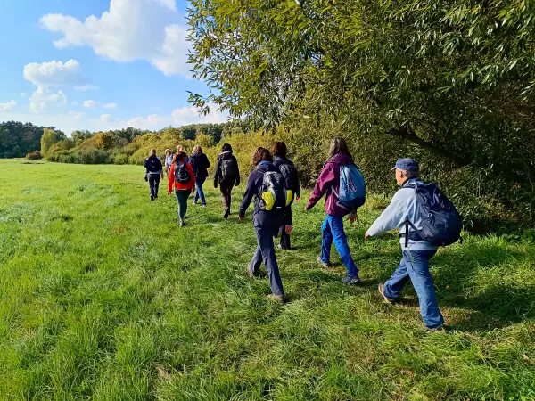 202510030-21 - Wandergruppe auf den Saumwegwiesen bei Hohen Neuendorf, Barnimer Land, Brandenburg, Deutschland