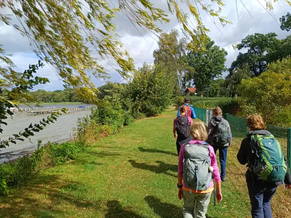 202609050-12 - Wandergruppe bei Gnewikow, Ruppiner Seenland, Brandenburg, Deutschland