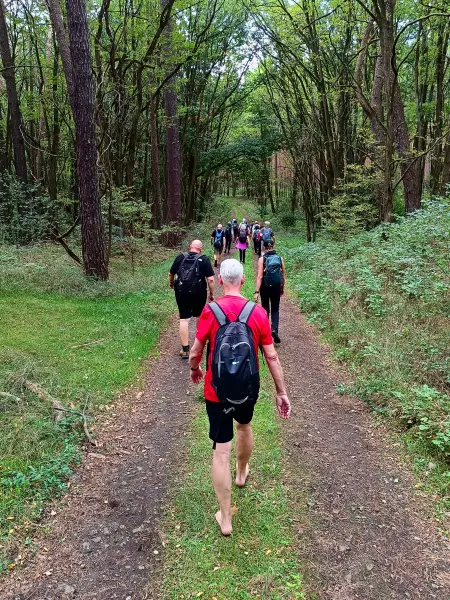 202509210-03 - Wandergruppe bei Mixdorf, Seenland Oder-Spree, Brandenburg, Deutschland