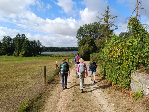202609050-06 - Wandergruppe bei Seehof, Ruppiner Seenland, Brandenburg, Deutschland