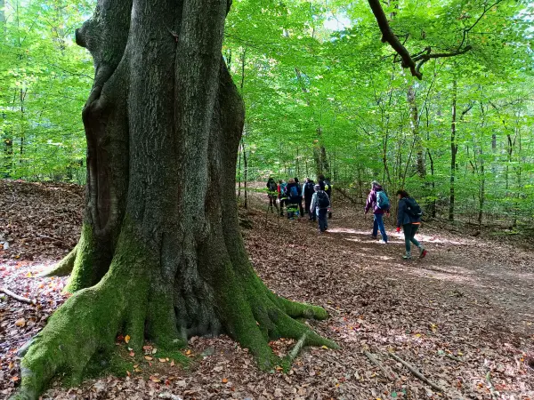 202510030-12 - Wandergruppe im Briesetal bei Birkenwerder, Barnimer Land, Brandenburg, Deutschland