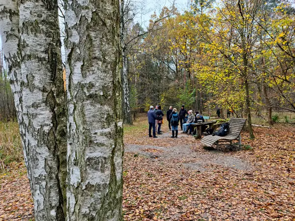 202311180-24 - Wandergruppe im Spandauer Forst, Berlin, Deutschland