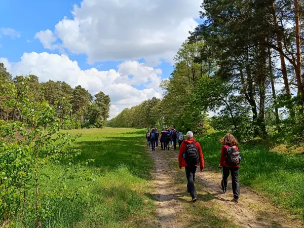 202605160-05 - Wandergruppe im Unterspreewald, Spreewald, Brandenburg, Deutschland