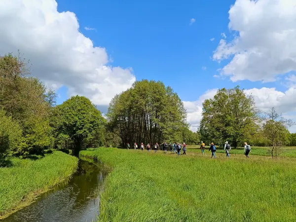 202605160-10 - Wandergruppe im Unterspreewald, Spreewald, Brandenburg, Deutschland