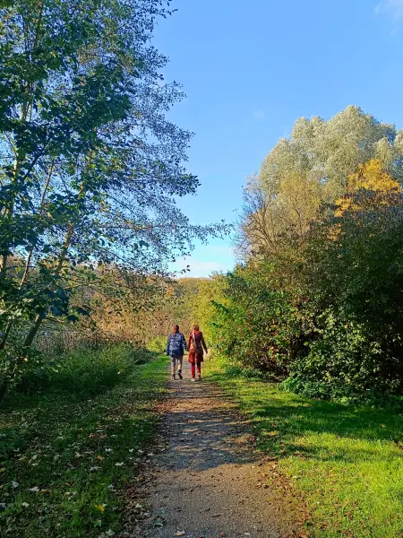 202510210-40 - Wanderweg am Mühlenteich in Neubrandenburg, Mecklenburgische Seenplatte, Mecklenburg-Vorpommern, Deutschland