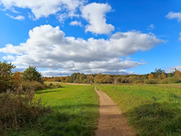 202510180-16 - Wanderweg am Tiefwarensee bei Amsee, Mecklenburgische Seenplatte, Mecklenburg-Vorpommern, Deutschland