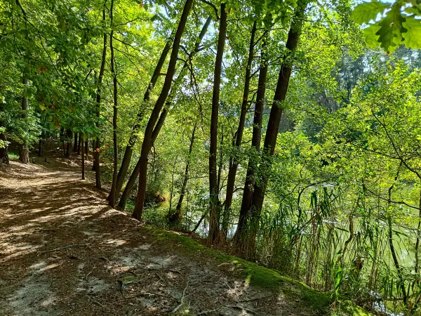 202509210-10 - Wanderweg an der Schlaube im Schlaubetal, Seenland Oder-Spree, Brandenburg, Deutschland