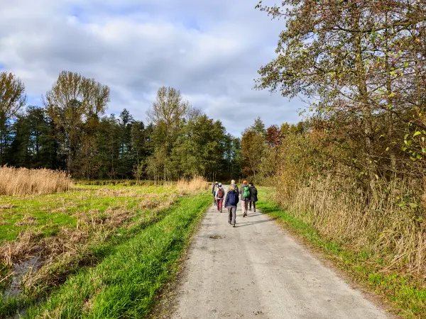 202311040-30 - Wanderweg bei Boblitz, Spreewald, Brandenburg, Deutschland