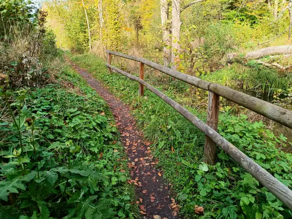 202510210-39 - Wanderweg im Lindetal bei Neubrandenburg, Mecklenburgische Seenplatte, Mecklenburg-Vorpommern, Deutschland