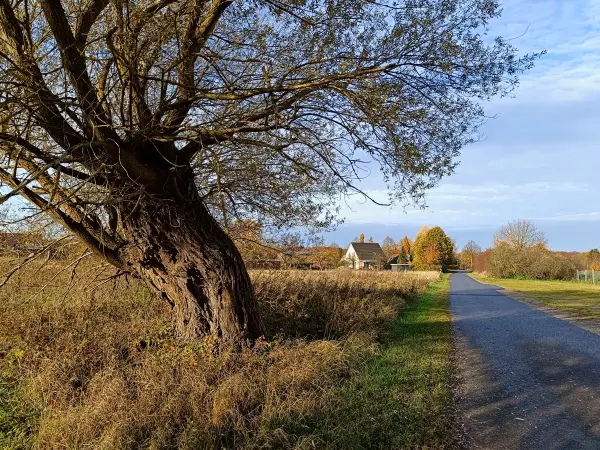 202511040-01 - Wanderweg nach Carpin, Mecklenburgische Seenplatte, Mecklenburg-Vorpommern, Deutschland