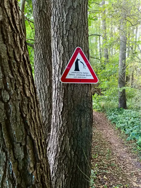 202508260-44 - Warnschild am Tauchowsee bei Alt Schwerin, Mecklenburgische Seenplatte, Mecklenburg-Vorpommern, Deutschland
