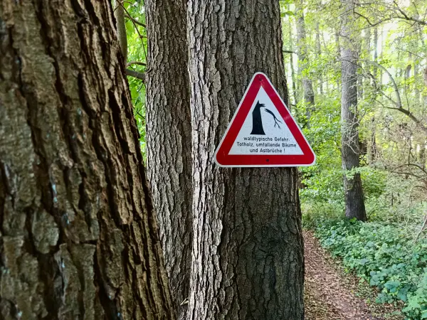 202508260-45 - Warnschild am Tauchowsee bei Alt Schwerin, Mecklenburgische Seenplatte, Mecklenburg-Vorpommern, Deutschland