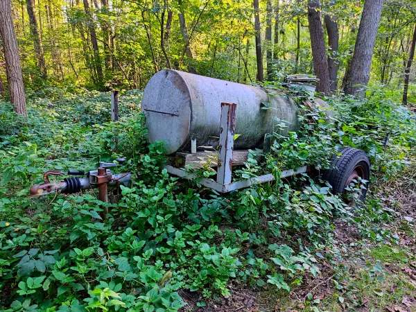 202309160-30 - Wasserwagen am Springsee bei Limsdorf, Seenland Oder-Spree, Brandenburg, Deutschland