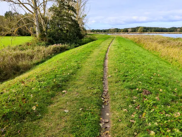 202310170-32 - Weg am Achterwasser bei Damerow, Usedom, Mecklenburg-Vorpommern, Deutschland