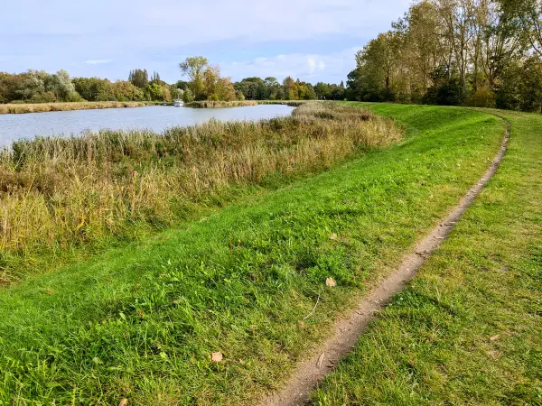 202310170-33 - Weg am Achterwasser bei Damerow, Usedom, Mecklenburg-Vorpommern, Deutschland