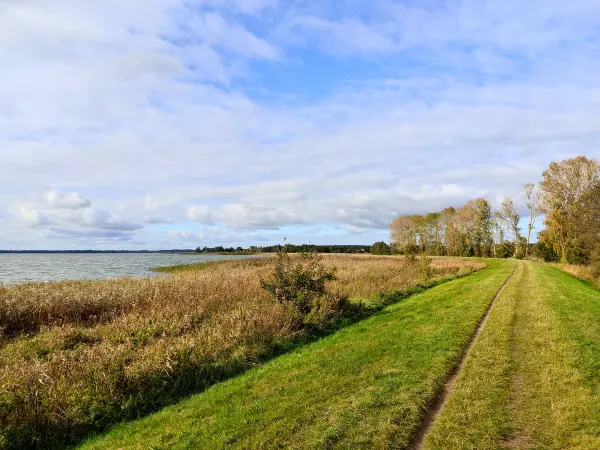 202310170-34 - Weg am Achterwasser bei Damerow, Usedom, Mecklenburg-Vorpommern, Deutschland