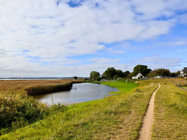202310170-29 - Weg am Achterwasser bei Zempin, Usedom, Mecklenburg-Vorpommern, Deutschland