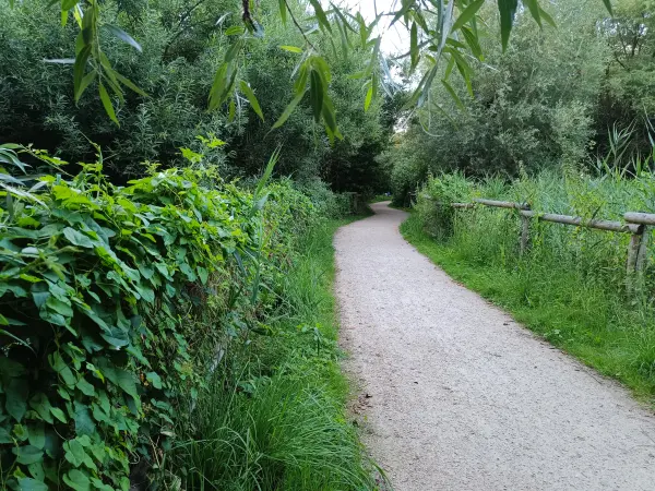 202607280-23 - Weg am Rudower Fließ in Rudow, Berlin, Deutschland