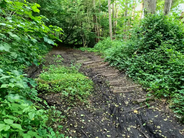 202506170-34 - Weg am Schweriner Außensee bei Gallentin, Mecklenburgische Seenplatte, Mecklenburg-Vorpommern, Deutschland