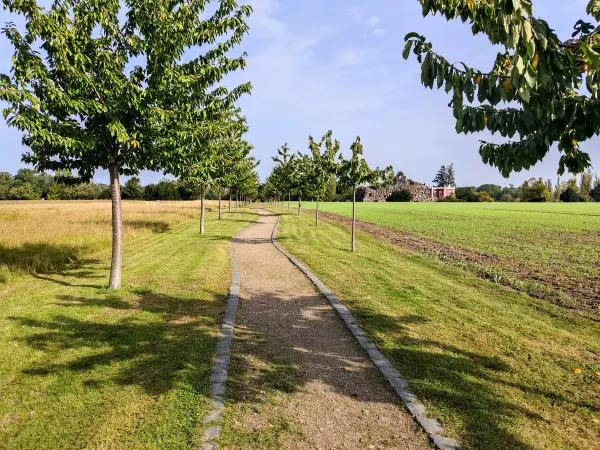 202310110-01 - Weg am Wörlitzer Park bei Wörlitz, Anhalt-Dessau-Wittenberg, Sachen-Anhalt, Deutschland