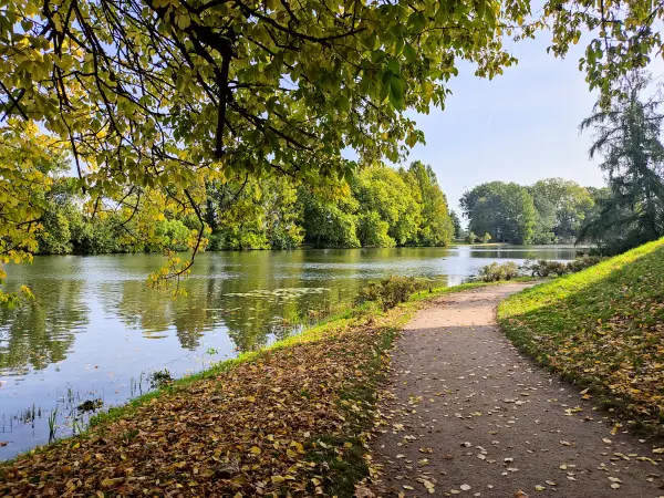202310110-03 - Weg am Wörlitzer See im Wörlitzer Park bei Wörlitz, Anhalt-Dessau-Wittenberg, Sachen-Anhalt, Deutschland