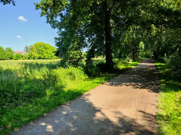 202308181-11 - Weg an den Dammaschwiesen in Celle, Lüneburger Heide, Niedersachsen, Deutschland