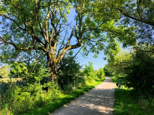 202308181-12 - Weg an den Dammaschwiesen in Celle, Lüneburger Heide, Niedersachsen, Deutschland