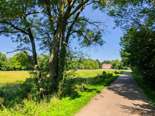 202308181-13 - Weg an den Dammaschwiesen in Celle, Lüneburger Heide, Niedersachsen, Deutschland