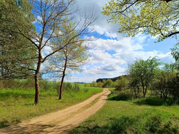 202605040-24 - Weg an den Oberen Seen bei Sternberg, Mecklenburgische Seenplatte, Mecklenburg-Vorpommern, Deutschland