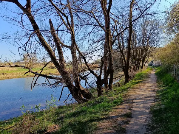 202604150-36 - Weg an der Alten Oder bei Lebus, Seenland Oder-Spree, Brandenburg, Deutschland