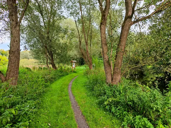 202309230-41 - Weg an der Bille bei Reinbek, Herzogtum Lauenburg und Stormarn, Schleswig-Holstein, Deutschland