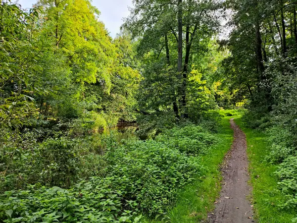202309230-42 - Weg an der Bille bei Reinbek, Herzogtum Lauenburg und Stormarn, Schleswig-Holstein, Deutschland