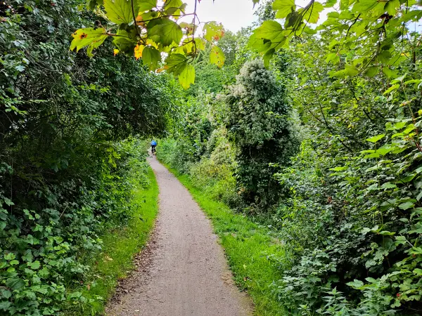 202309230-47 - Weg an der Bille in Bergedorf, Hamburg, Deutschland