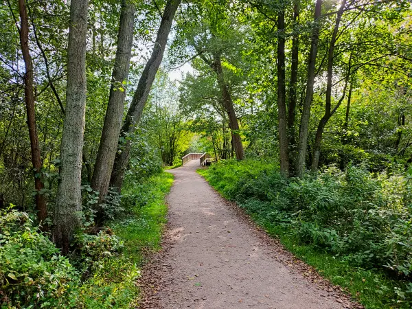 202309230-49 - Weg an der Bille in Bergedorf, Hamburg, Deutschland