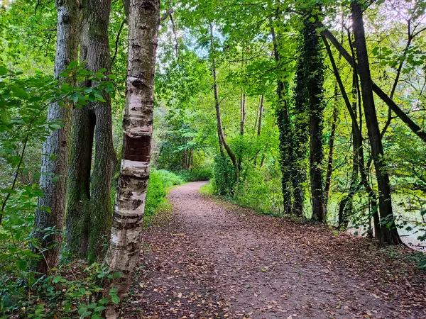 202309230-50 - Weg an der Bille in Bergedorf, Hamburg, Deutschland
