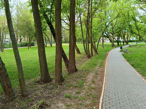 202404240-02 - Weg an der ehemaligen Filmbahn in Wolfen, Anhalt-Dessau-Wittenberg, Sachsen-Anhalt, Deutschland
